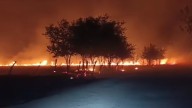Video | Reportan gigantesco incendio forestal en la vía El Estrecho-Balboa; las llamas son impresionantes