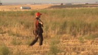 El sector cinegético valora positivamente las bonificaciones tras los incendios