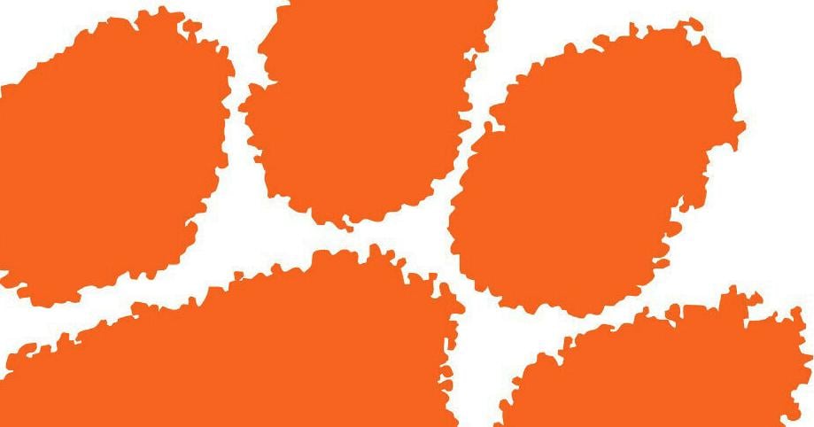 SC GOP lawmakers angry over Clemson not firing 2 professors for Kirk posts