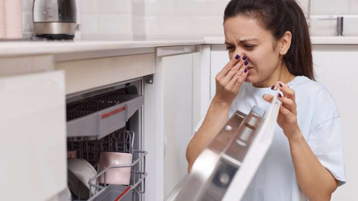 Why Your Drain Smells Like Sewage When You Run The Dishwasher And How To Fix It