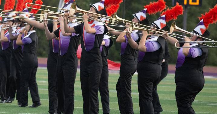 Crowd might see stars during Danville Marching Band field show