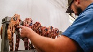 Where is the best butcher shop in Louisiana? USA Today says this is top 10