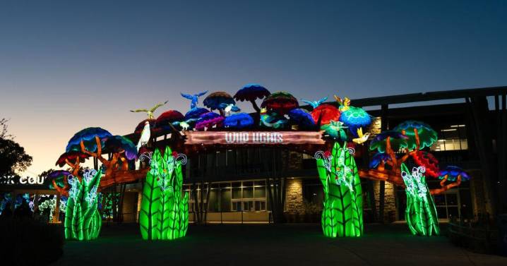Wichita residents invited to recycle electronics for free Wild Lights tickets