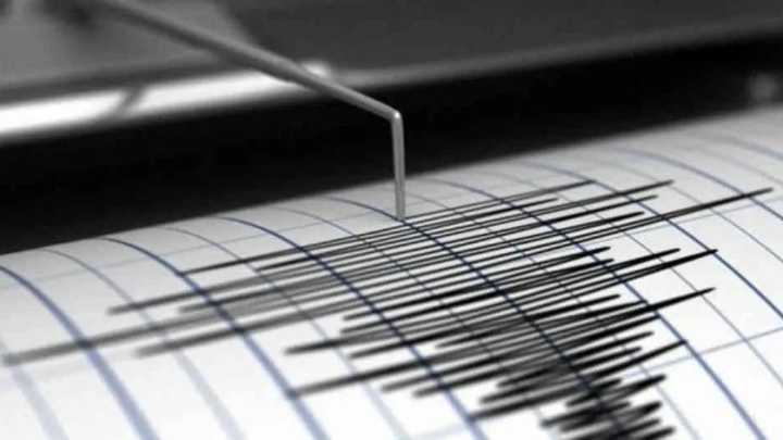 Un temblor de 4.5º sacudió Mendoza y se percibió en San Juan