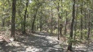 Family provides update on man's condition after rare bear attack in Arkansas