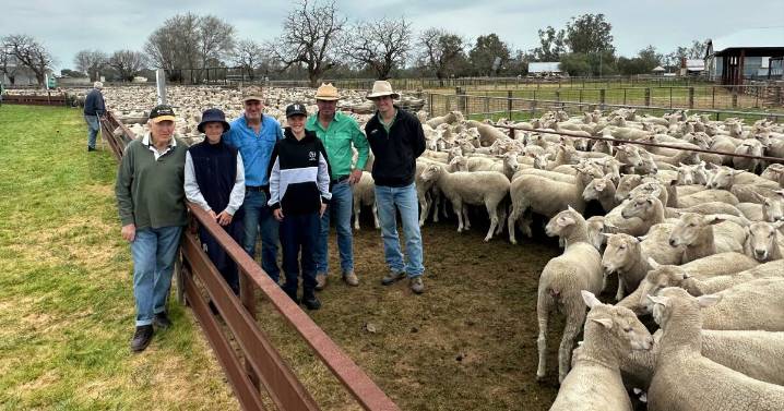Gnadbro Pastoral ewe sale 2025 top prices, average