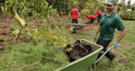 Merrett Home Hardware team beautifies Rogers Cove