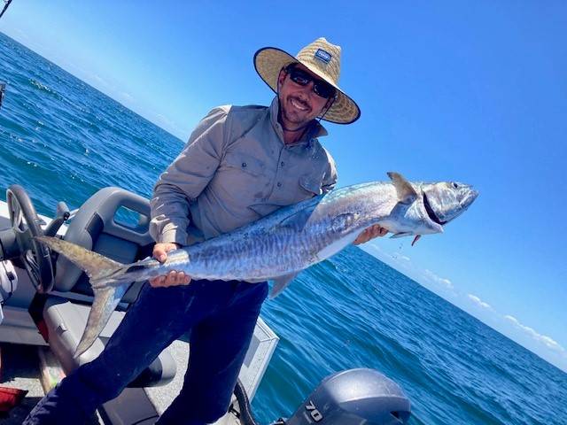 Return of the ‘mack’: have your say on Spanish mackerel strategy