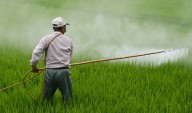 Decreto que prohíbe 35 plaguicidas es simbólico y no toca los más peligrosos: RAPAM
