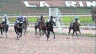 INH: Resultados del Hipódromo La Rinconada, domingo 31