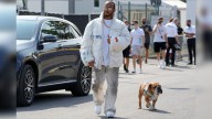 Hamilton se retira de un test de F1 para estar con su perro Roscoe enfermo