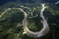 Las selvas amazónicas en tierras indígenas nos protegen contra enfermedades, revela estudio