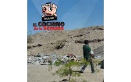 Apoyan juarenses para reportar al ‘El Cochino de la Semana’