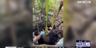 Moose rescued from well in Pembroke