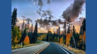 Discover Arizona's stunning fall foliage drives
