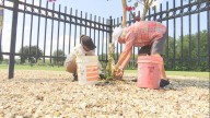 Volunteers clean up Louisiana National Cemetery in remembrance of 9/11 fallen heroes