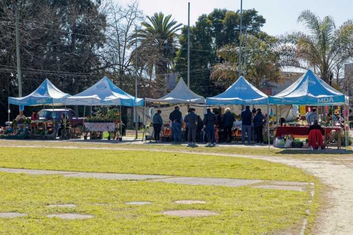 Más Mercado Vecino en El Pato