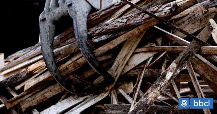 Seremi del Trabajo vincula cierre de aserraderos a baja del robo de madera: le piden no generalizar