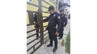 Citatorio a dueños de perrita Lola