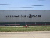 Georgia’s Timber Industry Faces Crisis Amid Mill Shutdowns
