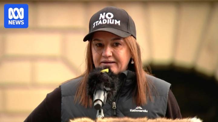 Jacqui Lambie calls on independent MLCs to 'block' the proposed Macquarie Point stadium