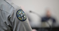 Boulder man attacked by bear while walking dogs, wildlife officials say