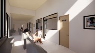 Anuncian Hospital de Bienestar Animal en Cancún; será pionero en atención y protección de mascotas