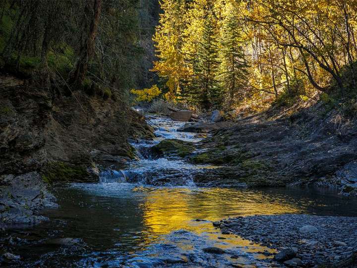 On the Road: Golden reflections