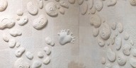 Arte y biotecnología se fusionan en la colaboración de MOSH y Cabinet Oseo