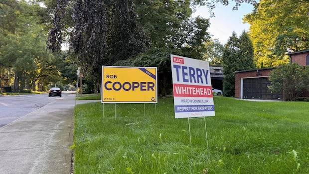 What can be done to improve Ward 8 and city hall? Here's what the byelection candidates say