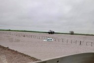 "Son frecuentes". Tormenta de Santa Rosa: las 4 enfermedades graves que pueden surgir tras las inundaciones, según un especialista