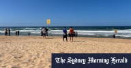 Person dies in shark attack at Dee Why