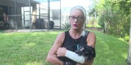 Woman says she punched an alligator to save her dog