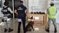 Guardia Nacional detecta paquetes con presunto narcótico ocultos en una camioneta en Juárez