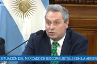“En quebranto”. Empresarios de biocombustibles hicieron un duro diagnóstico en el Senado