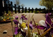 More than 10 school shootings have taken place in Colorado: List