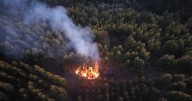 Alertan por tres focos de incendio en el Biobío: dos puntos estaban dentro de empresa Arauco