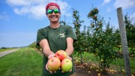 Apple picking farms on Long Island for fall 2025