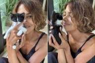 Halle Berry Calls Herself a ‘Real Catwoman’ After Another Kitten Shows Up In Her Yard