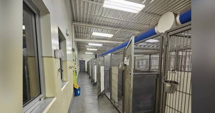 Yellowstone Valley Animal Shelter announces inability to shelter pets