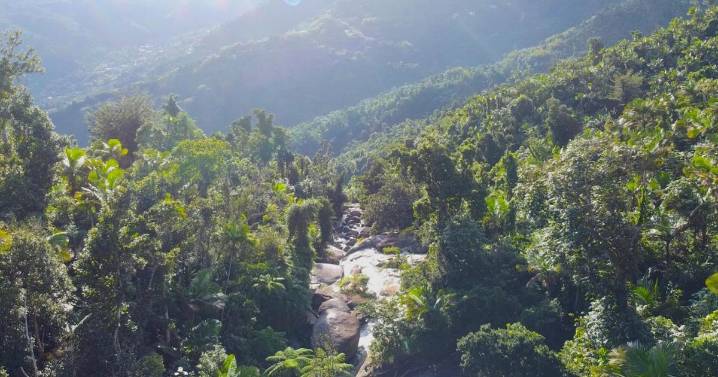 "Es bien riesgoso para poder llegar": advierten sobre peligros del "Infinity Pool" en Naguabo