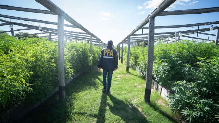 La causa por el vivero narco de Arroyo Leyes se resolverá a través de juicios abreviados