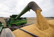 La eliminación de retenciones privará al Estado de mil millones de dólares equivalentes al 50% del superávit