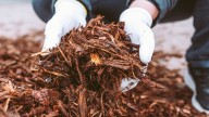 Why Mulching In The Fall Is Essential For Stronger, Healthier Plants In The Spring