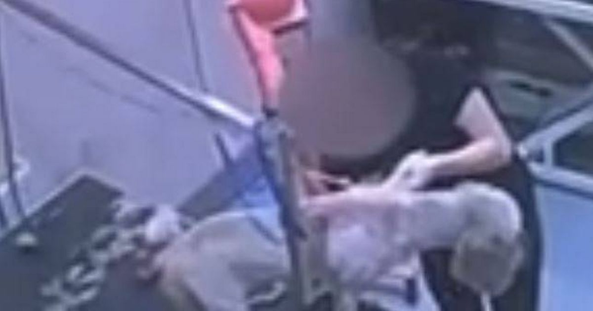 Dog groomer 'immediately dismissed' after owner watches 'heartbreaking' incident on CCTV