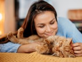 ¿Insistís en acariciar a tu gato cuando no quiere?: la psicología explica qué dice de vos