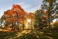 Sept. 22 is the autumnal equinox: What to know