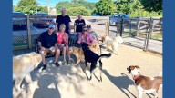 Peter Wolf finds love at Beverly Dog Park