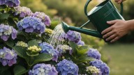 Astrología kármica: la llegada de la primavera