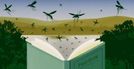 Your guide to identifying the 7 most dangerous mosquitoes in the US